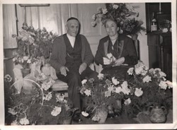 Nozze d'oro dei miei genitori z. l. Dario e Elvira Momigliano Rosh-Chodesh Nissan 5713 - Marzo 1953 Egidio (manoscritta a inchiostro)