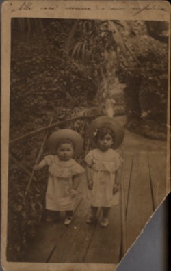 Alla cara nonna i suoi nipotini. Annetta e Donato Disegni 1905 (manoscritta a inchiostro)